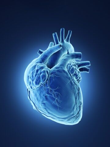 Graphic depiction of heart