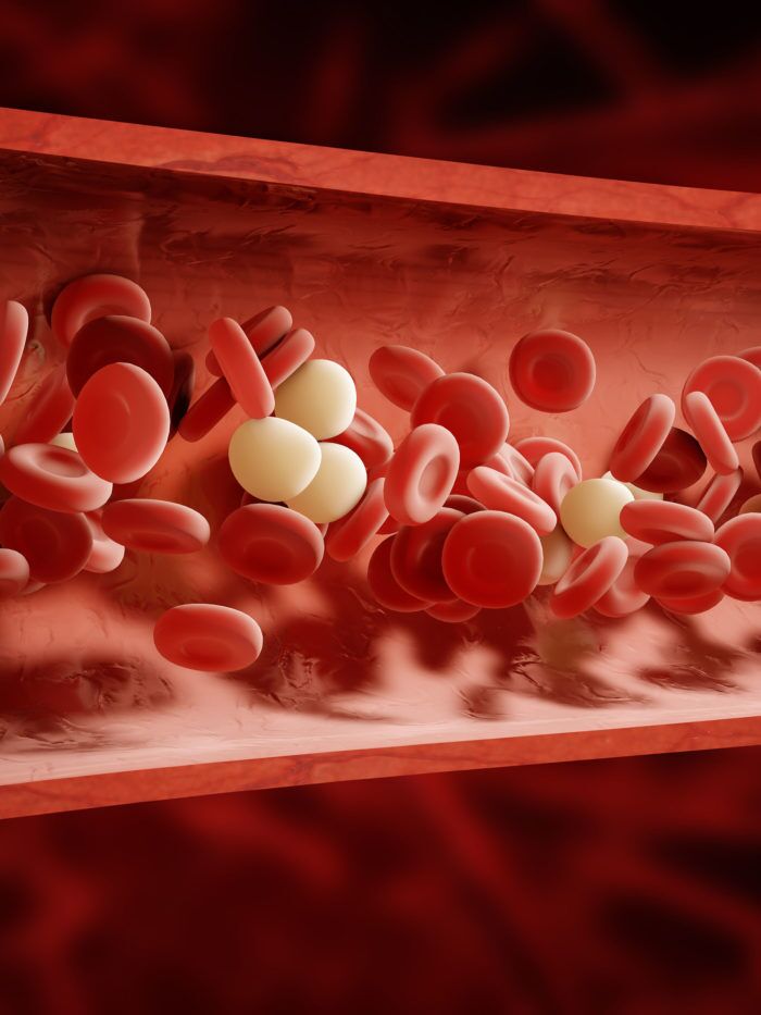 In the Spotlight: Dr. Tammam Beydoun