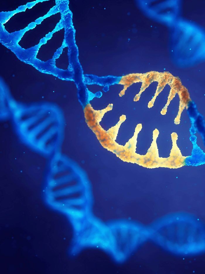 Metabolic disorder families increasingly turning to CHOC for historic gene therapy treatments