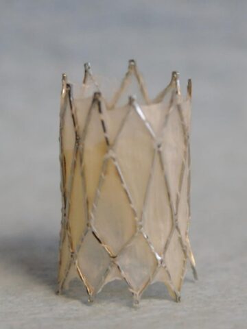 Expandable heart valve moves closer to testing in children