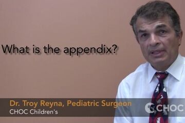 Causes of Appendicitis, Dr.Reyna