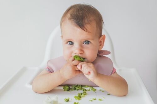 baby eating broccoli