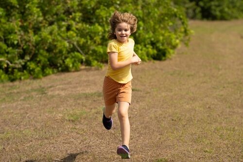 Orthopedic Institute