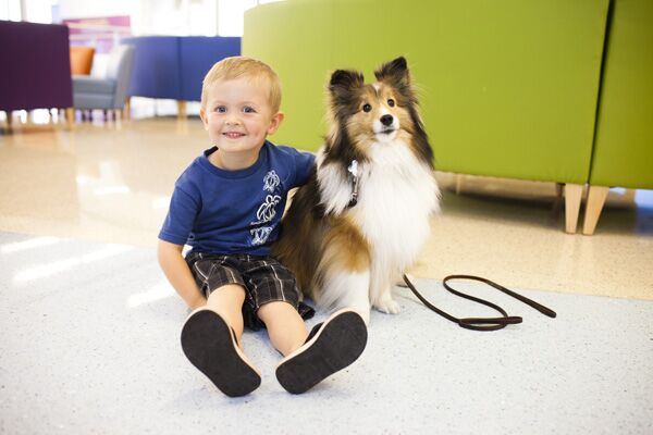 Child sitting next to therapy dog and smiling