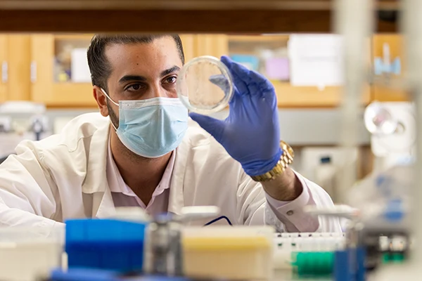 researcher wearing purple gloves, looking at sample