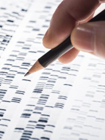 Genetics of Clefting